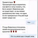 ���� ������, ����, 38 ��� - ��������� 8 �������� 2021 � ������ ���� ����������