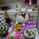 ���� Viktor, �����-��������� - ��������� 31 ������� 2021 � ������ ���� ����������