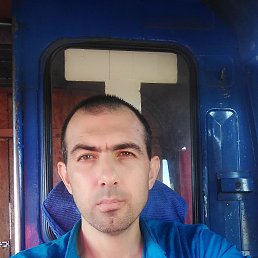 �����, ��������, 44 ����