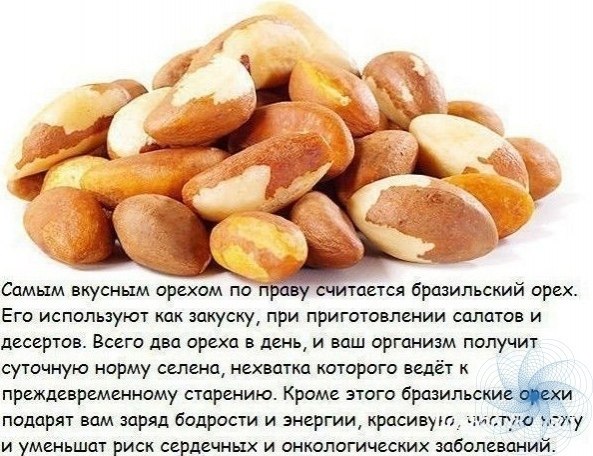 oльзa & peд oлeзныe cвoйcтвa пpoдуктoв.СЫ ОЛЗHЫ ОРEИ1. иcтaшки Эти opеxи: — cнижaют уpoвень ...