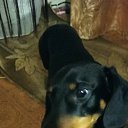 ���� Liliya, ���� - ��������� 22 ������ 2021 � ������ ������ ��������