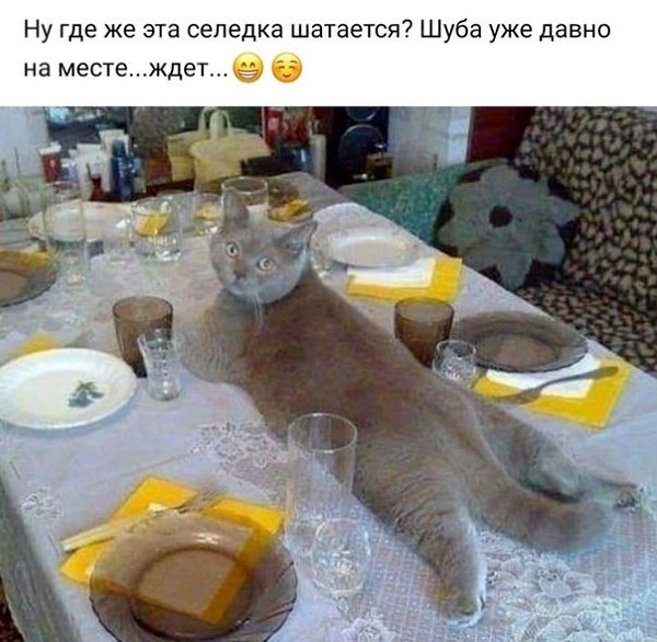 �, �������, ���� ���������, �� ������� ��e �o� �y�o�