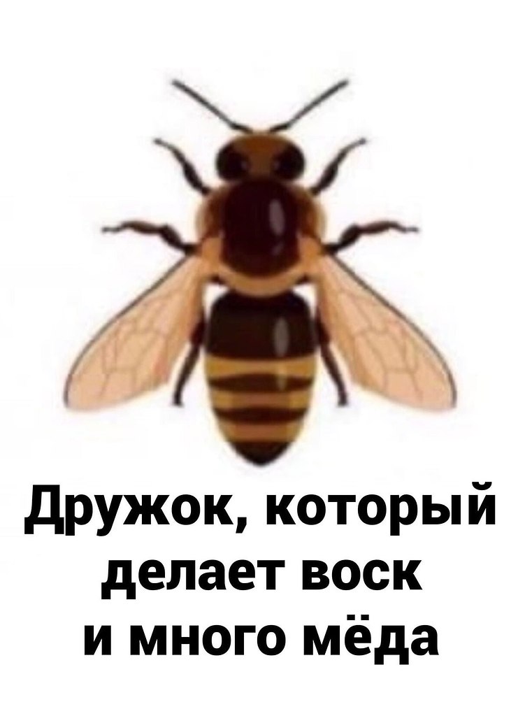 ������ ��������� �������� ������ � ��������.������� ����������