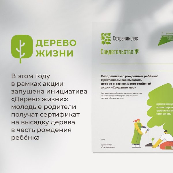 Участники акции «Сохраним лес» высадили больше 70 млн деревьев по всей России! Более 70 млн деревьев ... - 5