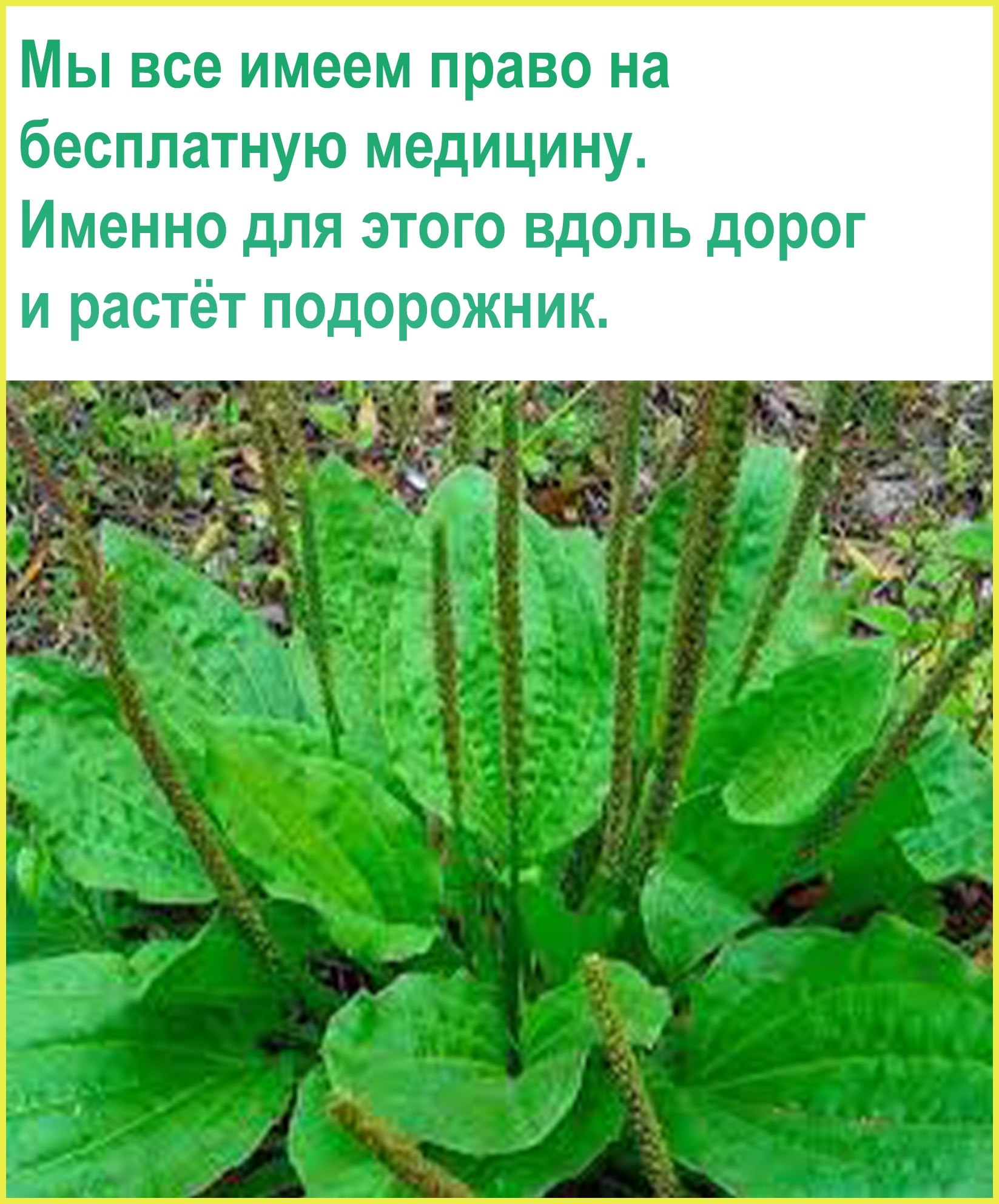 Ирина - 2 ноября 2021 в 12:38