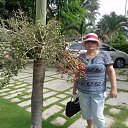 ���� �����, ���������, 73 ���� - ��������� 23 ������� 2021