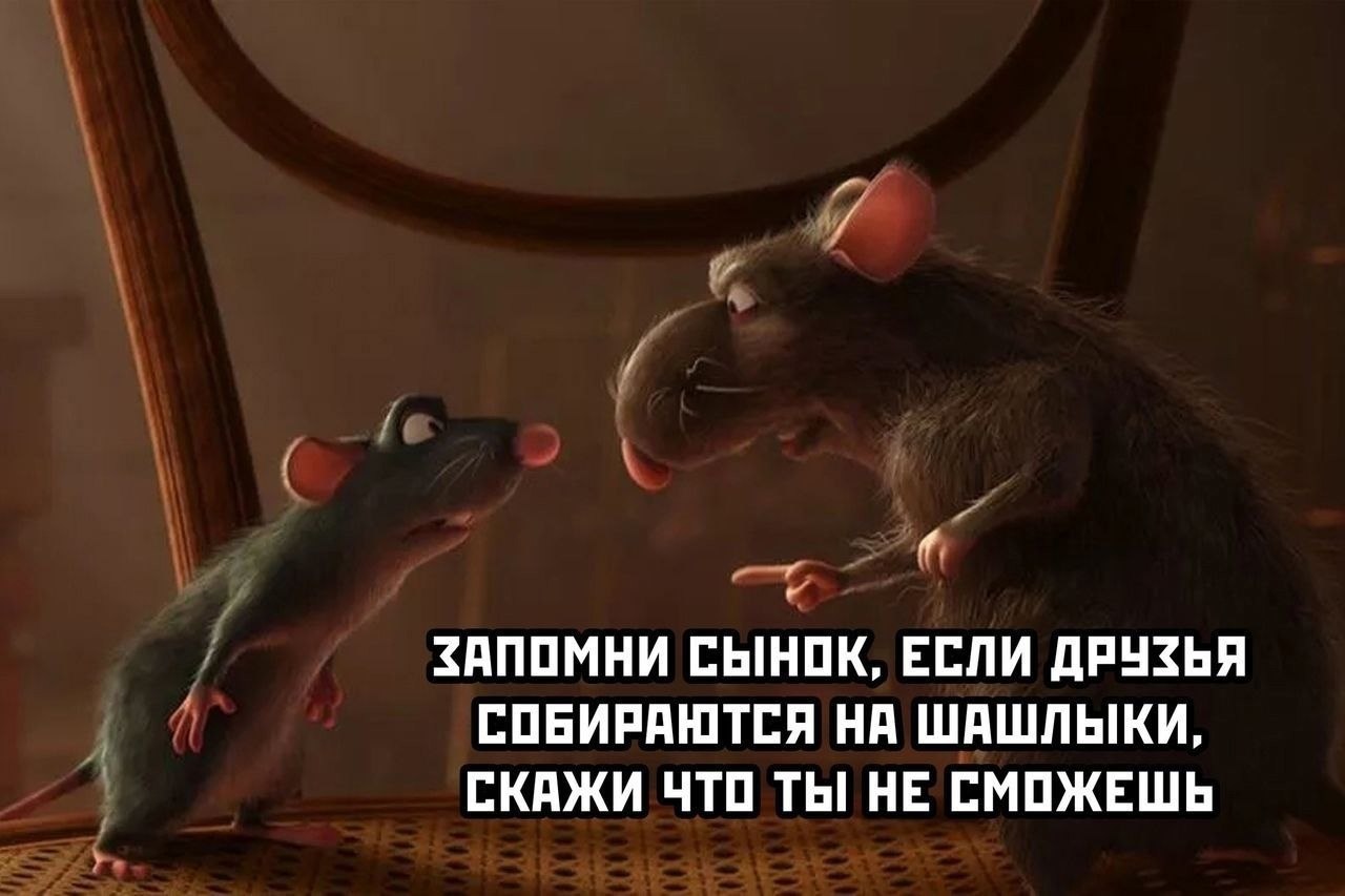 Ля ты крыса полная. Мемы с крысами. Крысам посвящается. Крыса Мем.