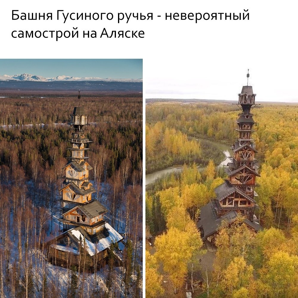 o  o )