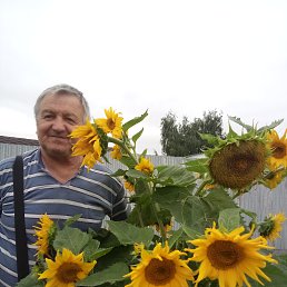 ���� ���������, ��������� - ��������� 24 ������� 2021