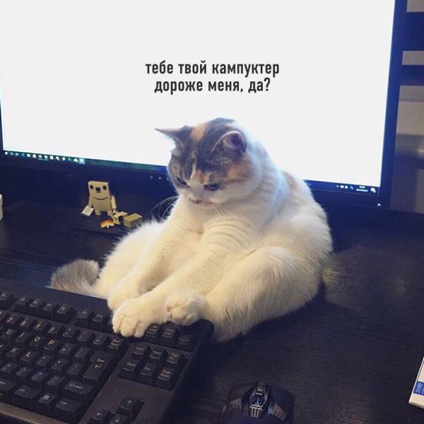 ��� �����, ������ 5 �����, ��� � ��� ��������: