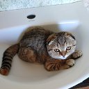 3 ���. �� ������� ���� ����������