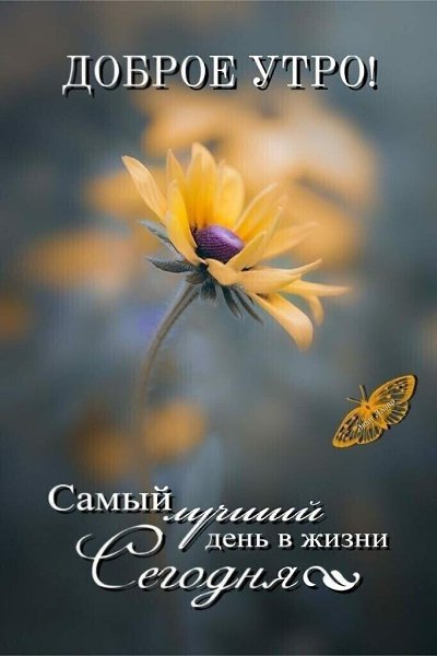 ***Victoria Viktorovna*** - 26  2021  06:05