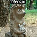 ���� ������, ���������, 41 ��� - ��������� 8 ������� 2021 � ������ ���� ����������