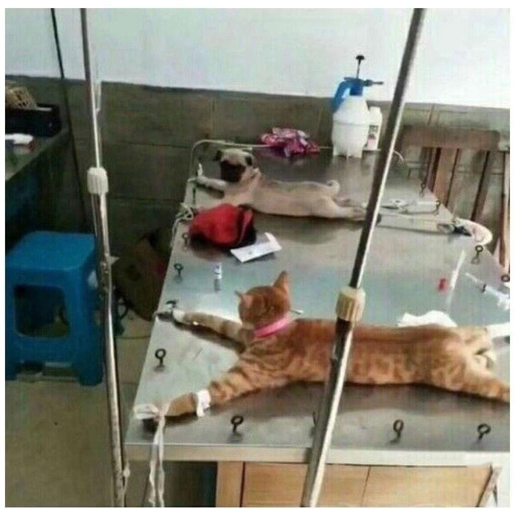 Включи не помните. Включи не помните. Включи не помните. Включи не помните. Включи не помните.