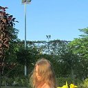 ���� ������, �����������, 42 ���� - ��������� 6 ���� 2021 � ������ ���� ����������