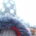 ���� Kashtanocka, ������� - ��������� 6 ������� 2021 � ������ ���� ����������
