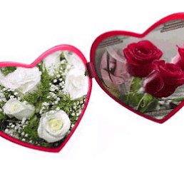 ���� �������, ����, 76 ��� - ��������� 11 ���� 2021