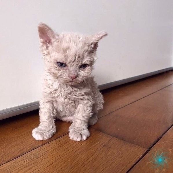       ! - 4
