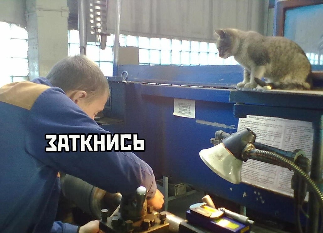 Котя грозен, котя страшен, Не влезай, а то убьёт. Котя котик не домашний, На зав