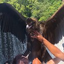 ���� ��������, �����-���������, 52 ���� - ��������� 14 ���� 2021 � ������ ���� ����������