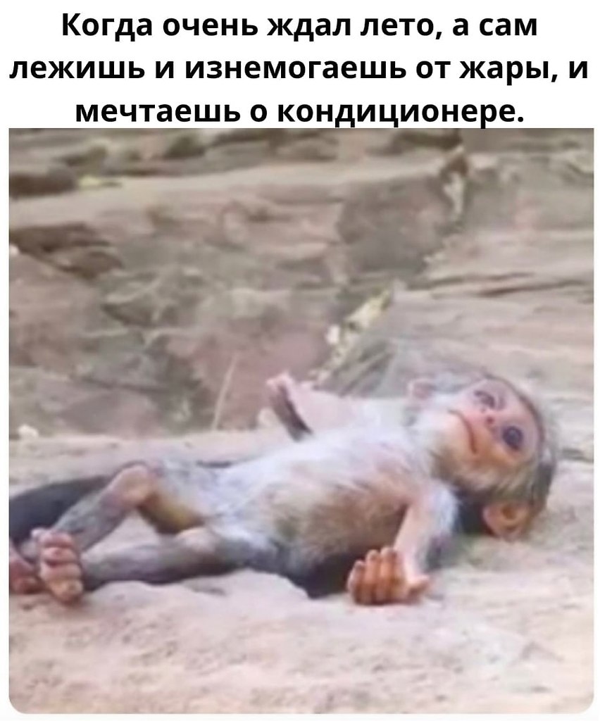 ������� ���� � ������ �� ������� ���� �����.