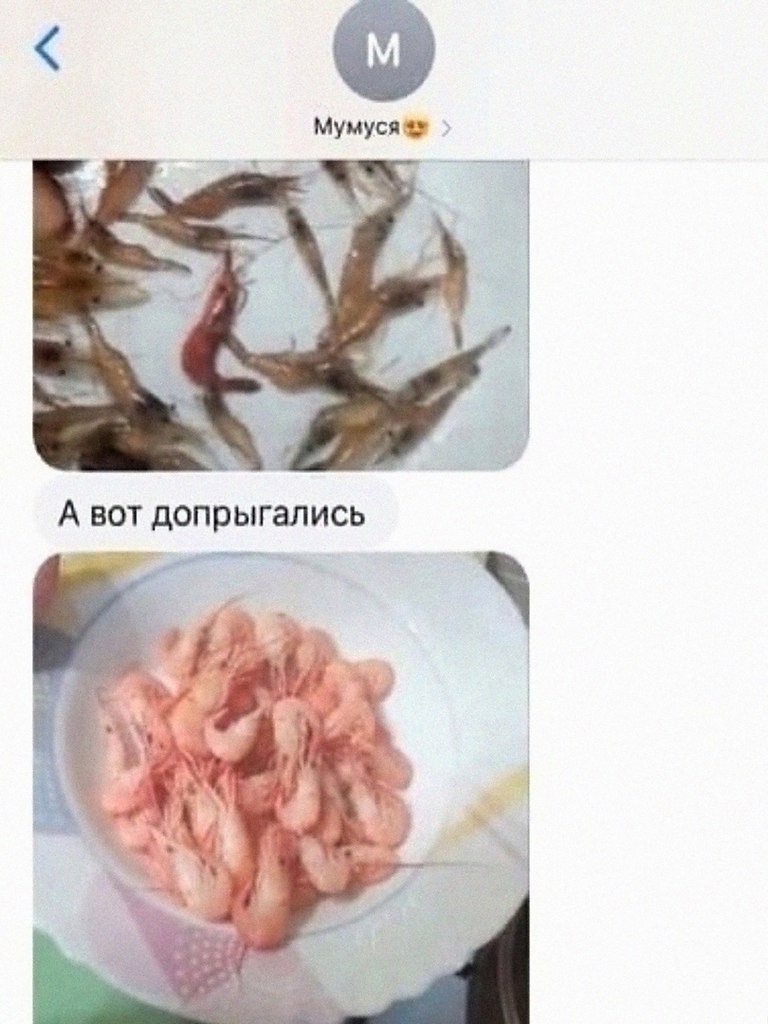      ... - 2