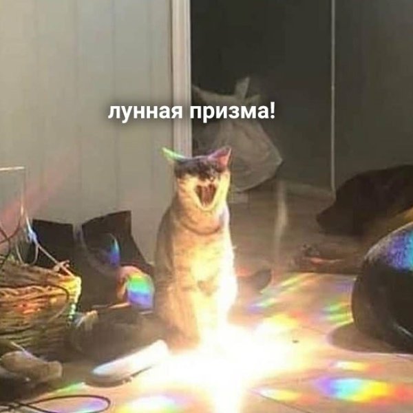 *  *