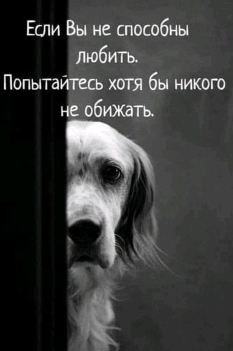   ! - 13  2021  23:52