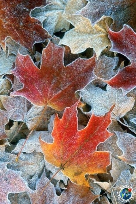 ooa oce  ocoo pacoo ... - 5