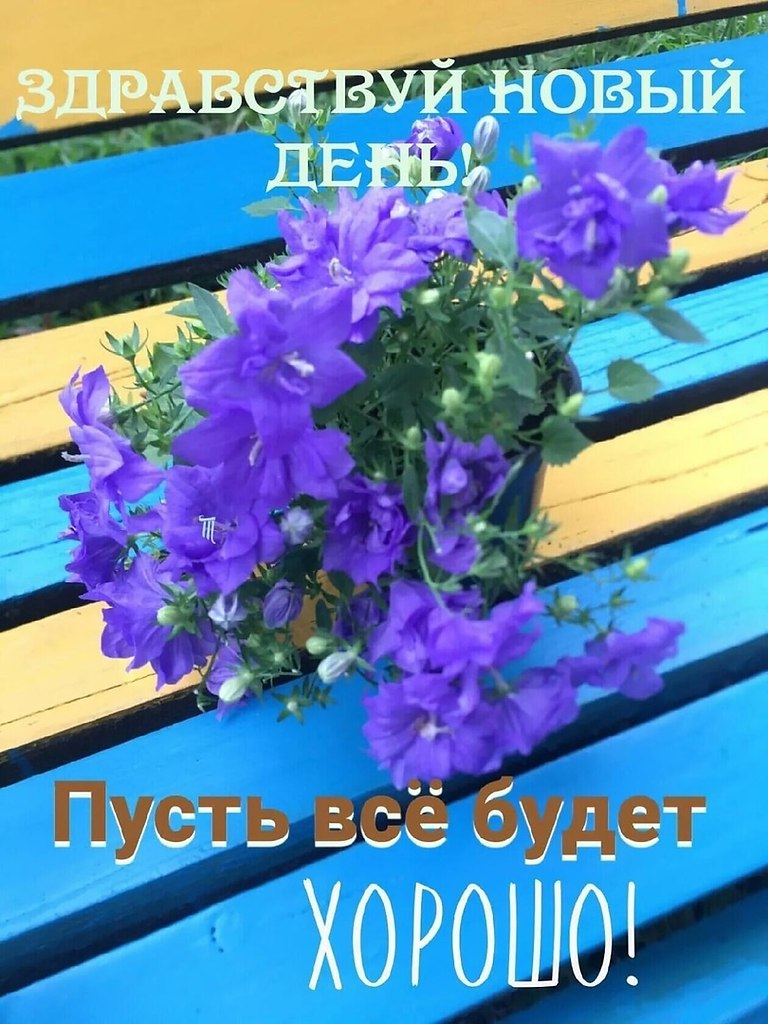   ,    . - 7  2021  12:15 - 8