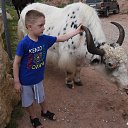  , , 66  -  24  2021    2021