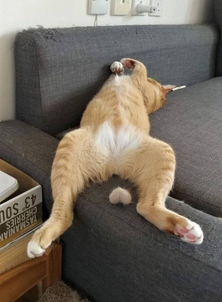 �������, ����������, � ��� ��� ������