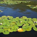 ���� �����, �����-������� - ��������� 9 ���� 2021