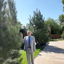 ������, ������, 74 ����