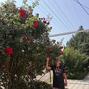 ���� �������, ���������, 49 ��� - ��������� 2 ������� 2021 � ������ ����� 2021�