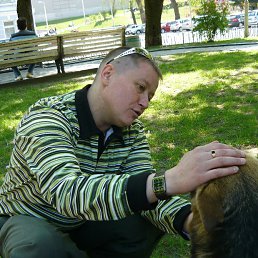 �����, ������, 51 ���