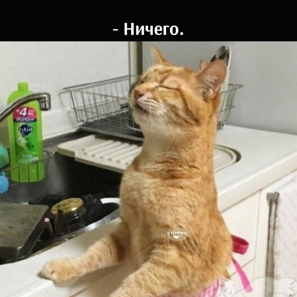       - 22  2021  19:14 - 3