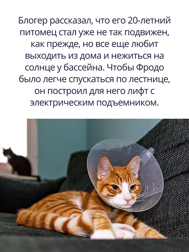   . - 2