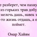 ���� �����, ����, 38 ��� - ��������� 3 ���� 2021 � ������ ������ ��������