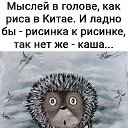 ���� �����, ������, 81 ��� - ��������� 4 ������ 2021 � ������ ������ ��������
