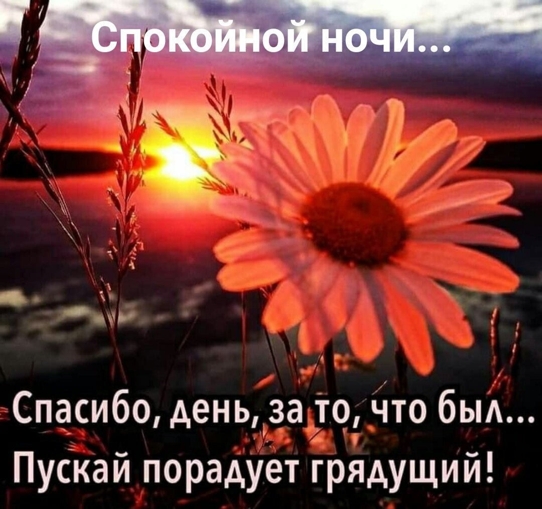   ,    . - 2  2021  22:19 - 2