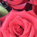 ���� Eva, ������������, 57 ��� - ��������� 25 ���� 2021 � ������ ���� ����������