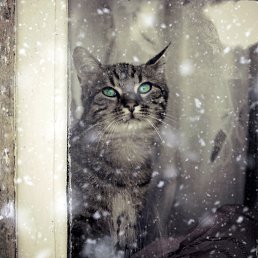 �����, �����, 59 ���