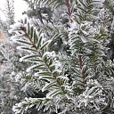 ���� ���������, ����� - ��������� 29 ������� 2021 � ������ ��������