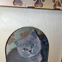 ���� ������ �� ���!, ������ - ��������� 29 ��� 2021 � ������ ������ ��������