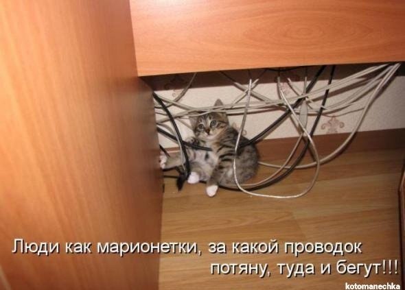  ))