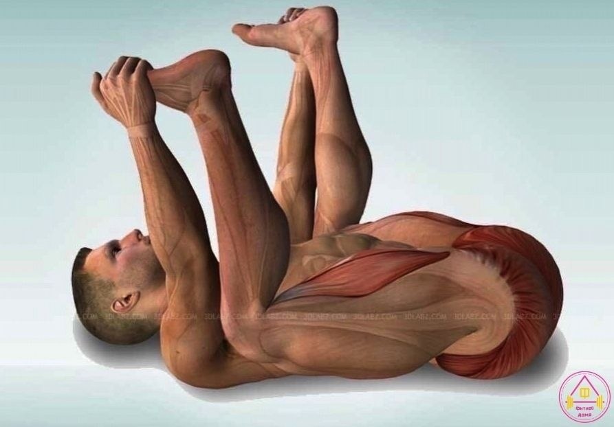 Haa paca opex .     ! - 9