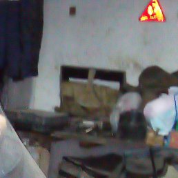 ������, �����-���������, 42 ����