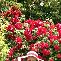 ���� ����, ������, 65 ��� - ��������� 16 ������� 2021