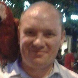 ���������, ���������, 47 ���